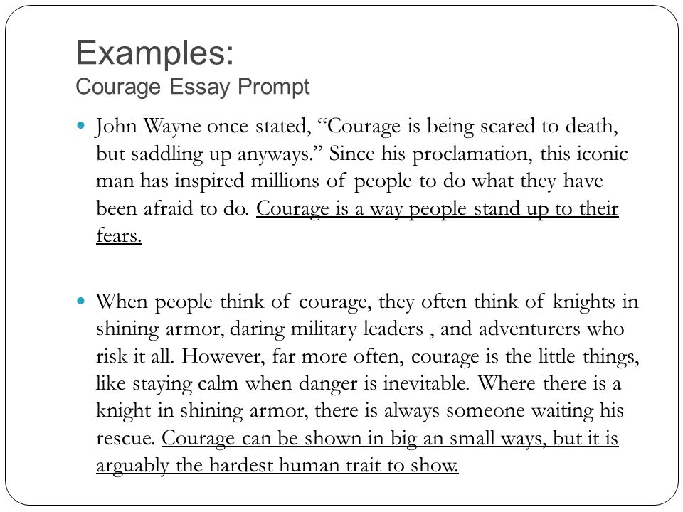 Courage Essay
